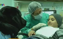Chó hỗ trợ trẻ tự kỷ đi khám răng
