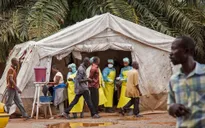 Cảnh báo nguy cơ tái bùng phát dịch bệnh Ebola tại CHDC Congo