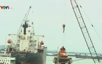 UBND tỉnh Bình Định yêu cầu mở rộng cảng Quy Nhơn