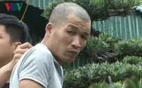 Trộm cắp hàng trăm cây cảnh, 2 đối tượng bị bắt giữ