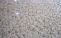 Nghệ An: Thu giữ hơn 3 tấn sứa sơ chế ngâm hóa chất làm cứng