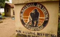 Congo: Hai khách du lịch người Anh bị bắt cóc tại công viên Virunga