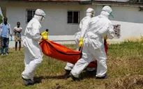WHO chuẩn bị kịch bản xấu nhất cho dịch Ebola ở Congo