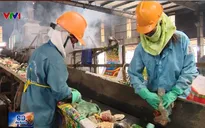 Ô nhiễm và lãng phí từ việc không phân loại rác tại nguồn