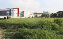Nghệ An kiểm tra giá "đất vàng" giao cho doanh nghiệp