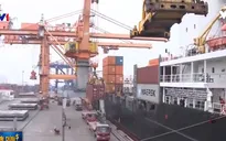 Kẹt hàng nhập khẩu tại cảng Cái Mép