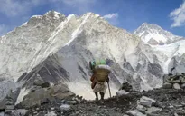 Chi phí leo núi Everest giảm