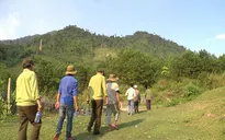 Quảng Nam chủ động phương án phòng chống chữa cháy rừng trong mùa khô