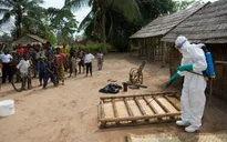 WHO: Ebola có khả năng gây ra đại dịch toàn cầu