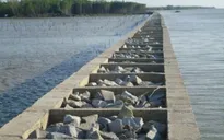 Gia tăng mức độ sạt lở đê biển Tây, Cà Mau