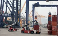 Kỷ luật 10 cán bộ hải quan trong vụ tiêu cực tại Cảng Đình Vũ, Hải Phòng