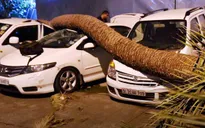 Số người thiệt mạng do mưa bão ở Ấn Độ đã tăng lên hơn 70 người