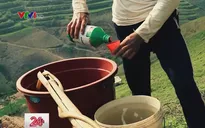 Mỗi năm, Việt Nam sử dụng 100.000 tấn thuốc bảo vệ thực vật
