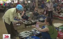 Ngư dân Hà Tĩnh ổn định cuộc sống sau 2 năm sự cố môi trường biển