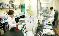 Phê duyệt Đề án phát triển Viện công nghệ sinh học, Đại học Huế