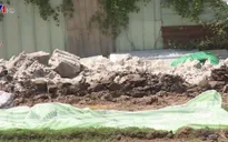 Doanh nghiệp chôn hàng trăm con lợn chết gây ô nhiễm môi trường