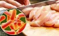 Nhiễm salmonella từ thực phẩm, cách phòng chống