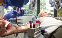 10 vấn đề về hiến máu nhân đạo