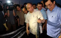 Thủ tướng chủ trì cuộc họp về giải pháp ổn định đời sống, sản xuất 4 tỉnh miền Trung