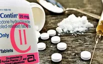 Thêm 6 bang của Mỹ kiện Purdue Pharma trong vụ bê bối thuốc giảm đau Opioid