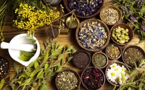 Trị liệu bằng phương pháp "giấc ngủ thảo dược"