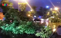 Nhiều cây xanh gãy đổ do mưa giông chiều tối 18/5 tại Hà Nội