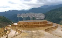 Lên Mù Cang Chải ngắm 'mây pha lê' và 'bay trên mùa nước đổ'