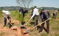 Lâm Đồng: Xây dựng Đà Lạt xứng đáng là thành phố bền vững về môi trường ASEAN
