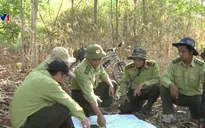 Tăng cường công tác quản lý, bảo vệ và phát triển rừng