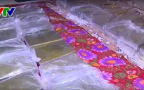 Công an Thanh Hóa bắt giữ các đối tượng mua bán, vận chuyển 60 bánh heroin