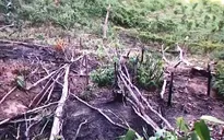 Bình Thuận: Công khai phá rừng phòng hộ để bán đất