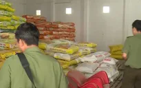 Thanh tra đột xuất một số cơ sở sản xuất, kinh doanh lúa giống ở Đồng Tháp