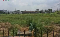 Nhiều vấn đề liên quan đến nhà, đất công tại TP.HCM