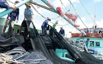 ĐBSCL đối mặt tình trạng thiếu ngư phủ