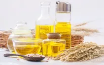 Dầu gạo Việt sẽ vươn tầm thế giới