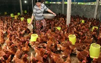 Đắk Lắk: Nâng cao nhận thức về phòng chống thiên tai và sản xuất thích ứng với biến đổi khí hậu