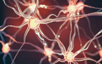 Đã tìm ra chìa khóa để ngăn ngừa bệnh Parkinson?