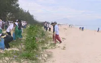 Gần 500 đoàn viên, thanh niên tham gia Chiến dịch Biển Việt Nam xanh