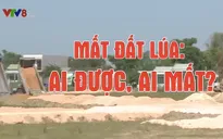 San lấp đất lúa: Ai được - Ai mất?