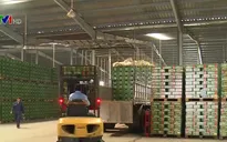 Giám sát tối đa về cổ phần hóa doanh nghiệp Nhà nước