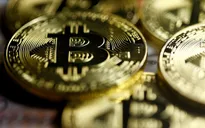 Người tham gia Bitcoin tại Việt Nam tăng gấp đôi