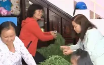Tổ ấm không khói thuốc lá