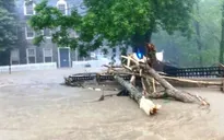 Nhiều bang tại Mỹ ban bố tình trạng khẩn cấp vì bão Alberto