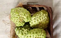 Lý do nên ăn một quả na mỗi ngày