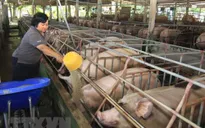 CPI tháng 5 cao nhất trong 6 năm qua
