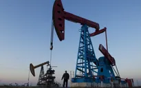 OPEC và các đồng minh sẽ quyết định về sản lượng dầu trong tháng 6