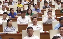 ĐBQH lo thất thoát tài sản Nhà nước nếu giá cổ phần không được đấu giá minh bạch