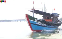 Tái tạo nguồn lợi thủy sản trên biển vùng ven biển Thừa Thiên Huế