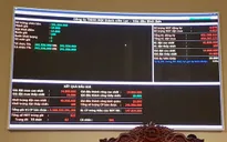 Xác định lại giá trị thương hiệu Lọc hóa dầu Bình Sơn tăng 53,7 tỷ đồng