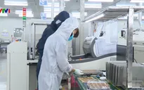 Thiếu liên kết FDI với doanh nghiệp nội địa